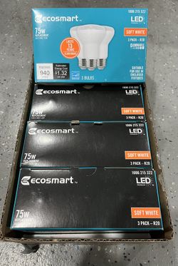 NEW EcoSmart LED Soft White (3-Pack)