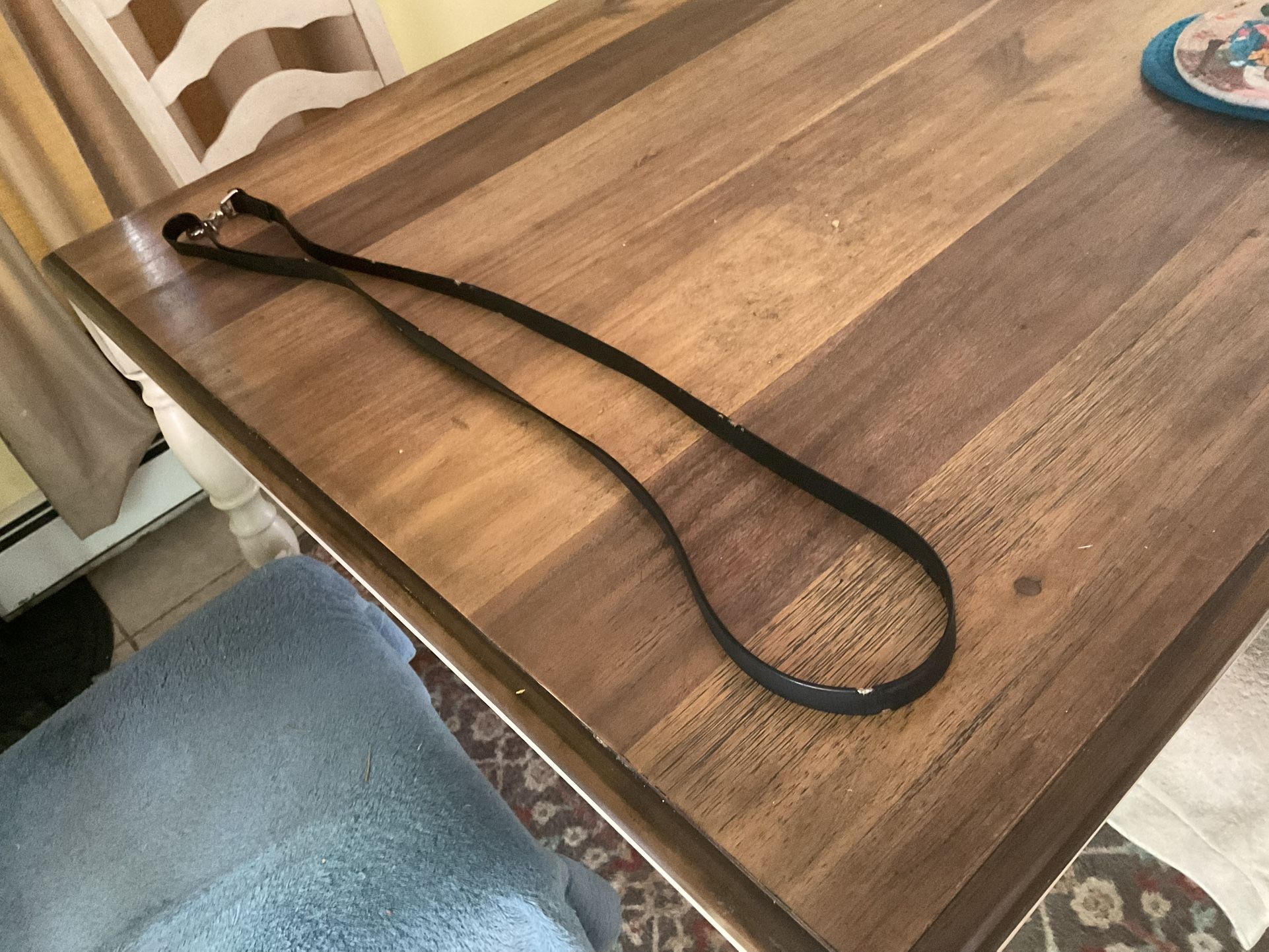 Leather Pet Leash