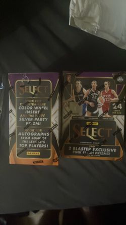 2025 select WNBA panini