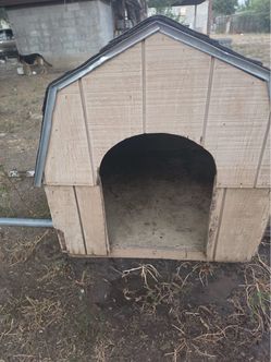 Dog House