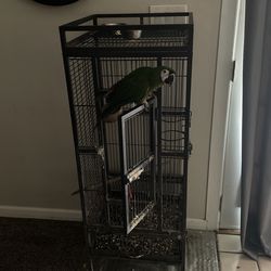 Bird Cage