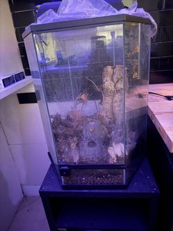 Thrive Vertical Hexagon Tropical Reptile Terrarium -20 Gallon
