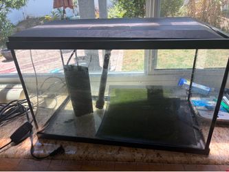 10 gallon fish tank with heater and filter