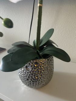 Fake Plant decor 
