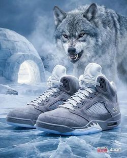 Jordan 5s Wolf Grey