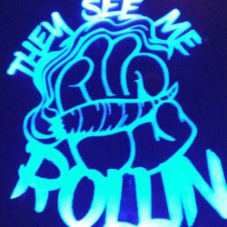 They See Me Rollin Etched Lighted Mirror