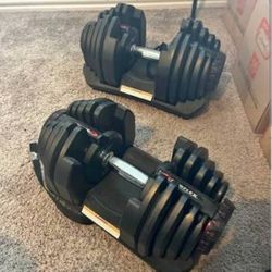 Bowflex adjustable dumbells 10 to 90lbs