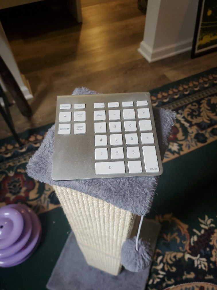 Apple Numeric Pad