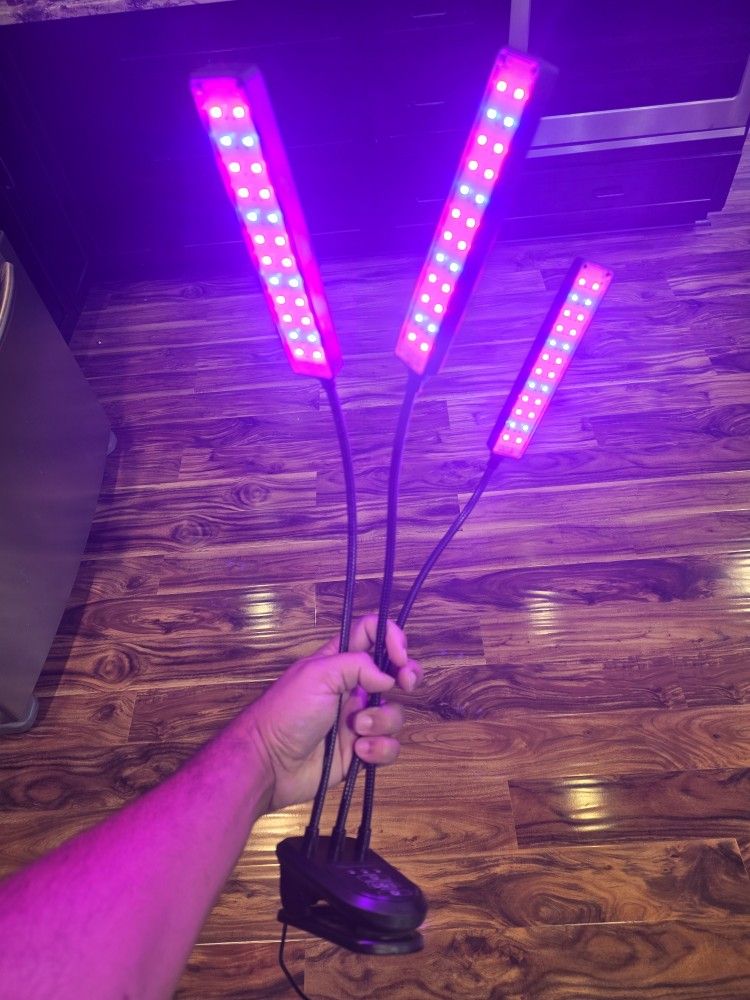 Plant Lamp