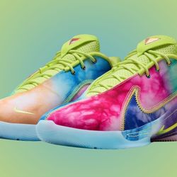 Monopoly x Nike LeBron 22 "What The Monopoly”