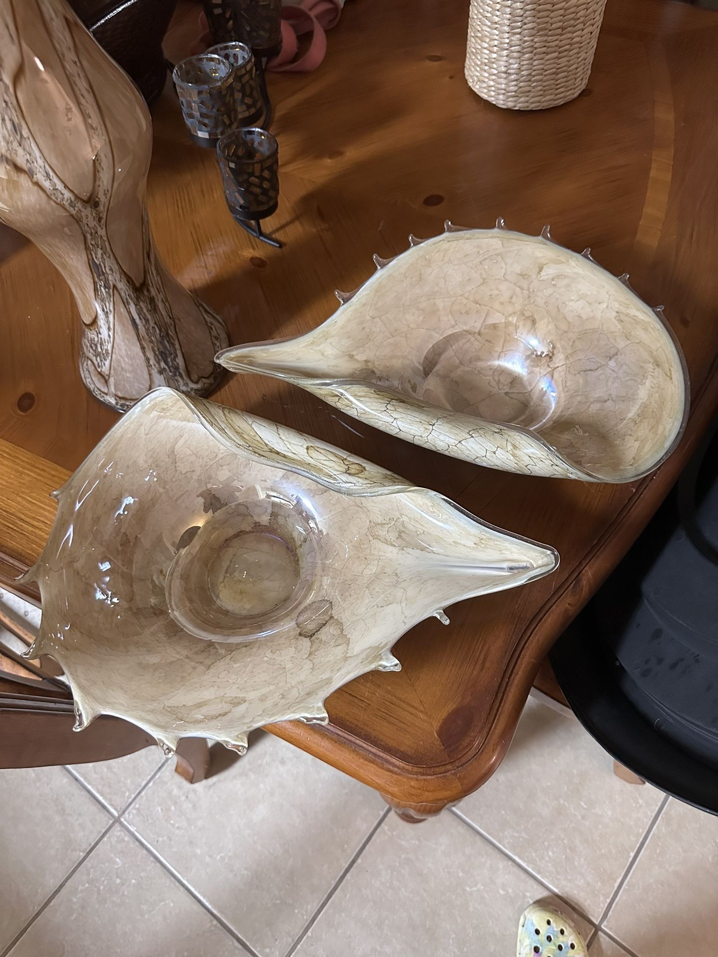 Decorative Glass Shells