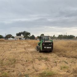 Cleaning Service Dump Service 