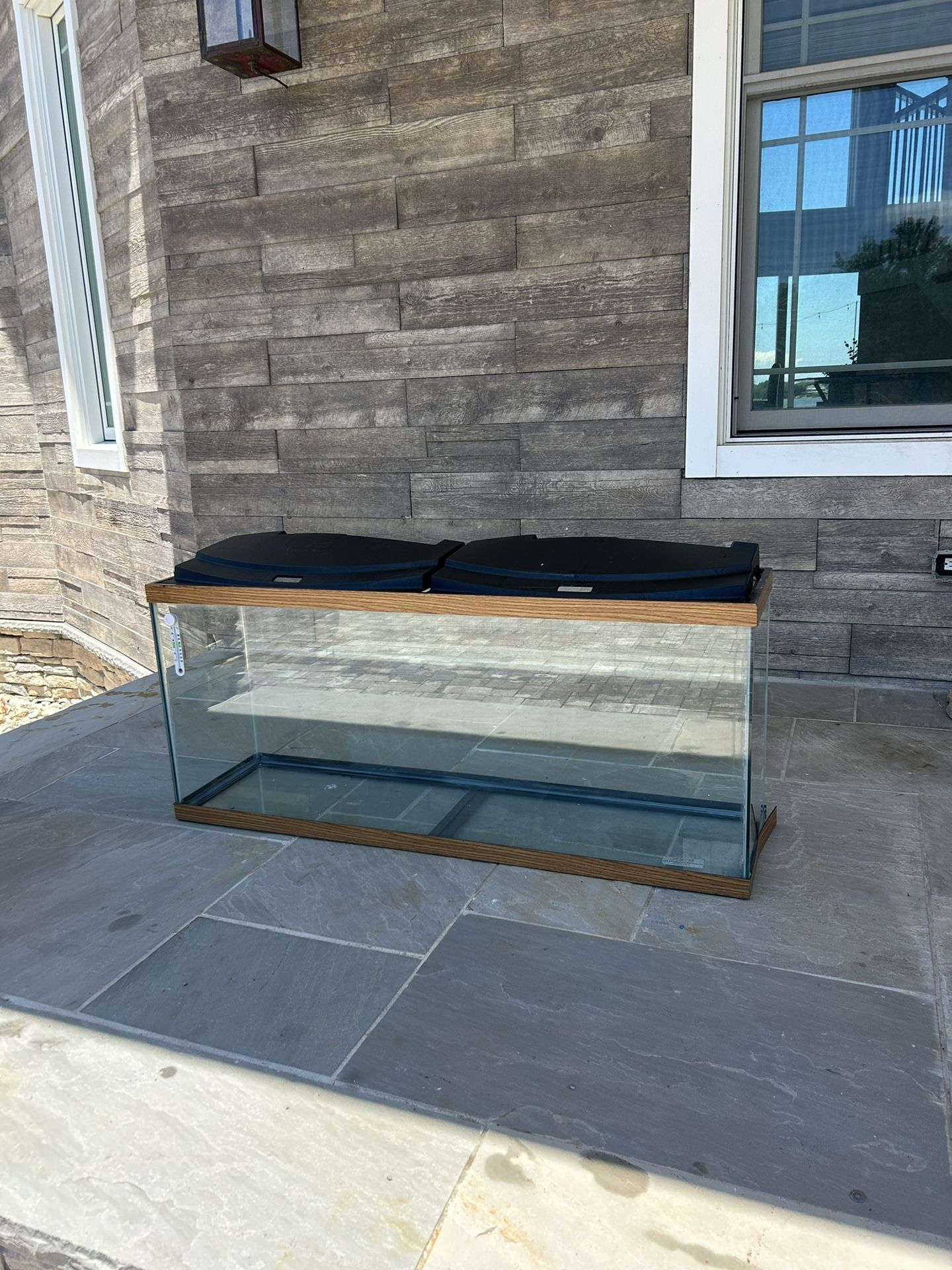 Fish Tank