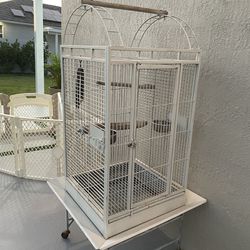 Bird Cage - Jaula 