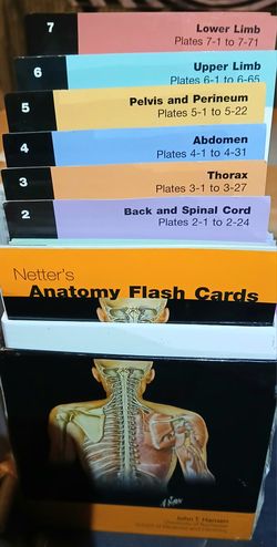 Anatomy Flash Cards