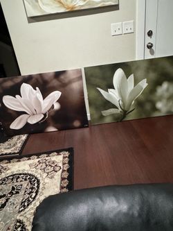 Both frames for $20