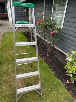 6’ Werner ladder