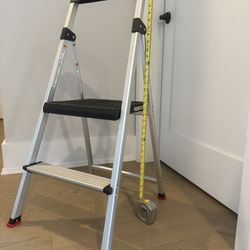 2-Step Ladder