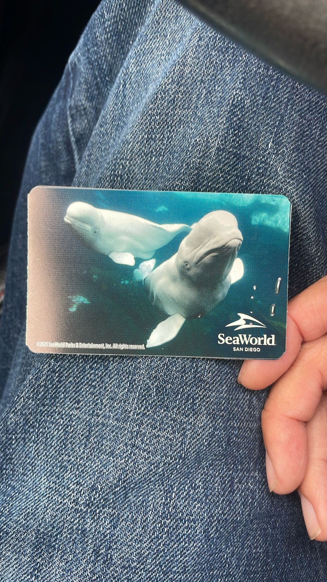Seaworld San Diego Single Day Adult Tickets