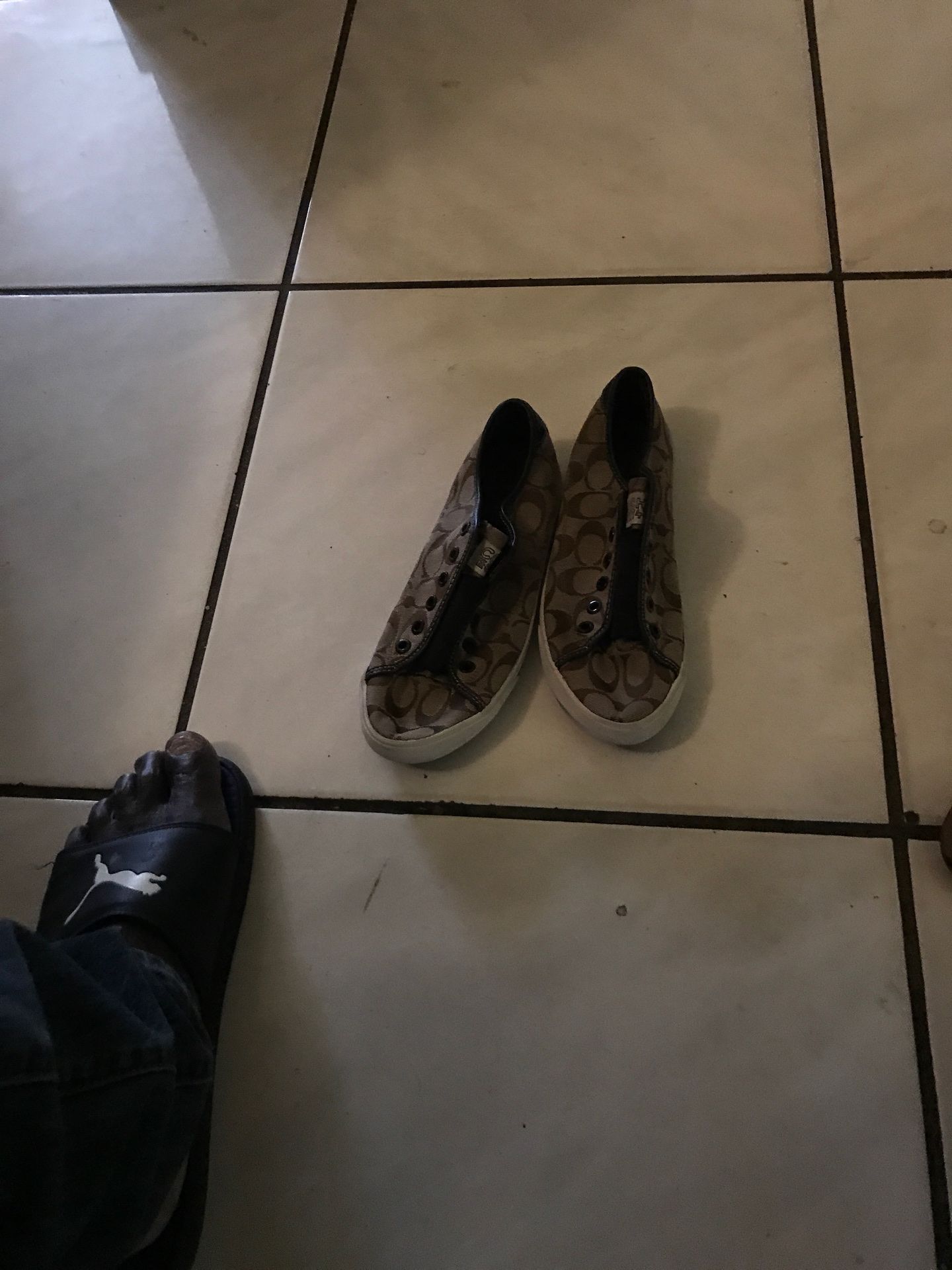 Coach sneakers