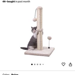 Cat Scratching Post 22in 