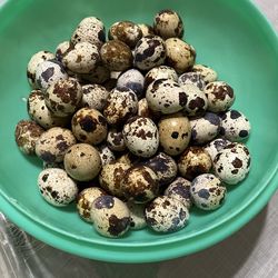 Quail Eggs