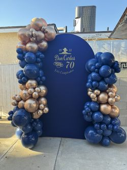 Balloon Decor/backdrops
