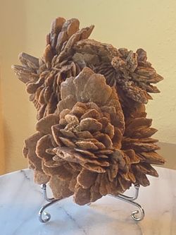 1 8 lb (834g) Desert Rose Specimen With a Stand
