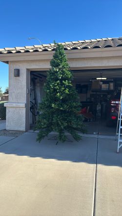 Christmas Tree