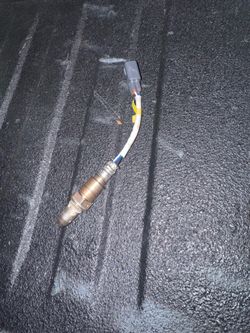 Oxygen sensor
