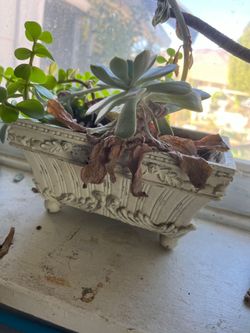 Planter