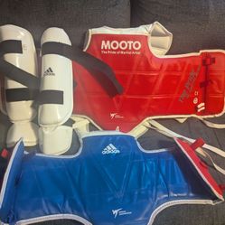 Taekwondo sparring