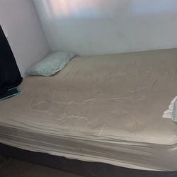 Bed N Mattress