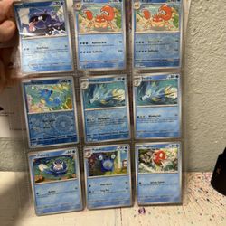 Entire Pokemon Card Collection 