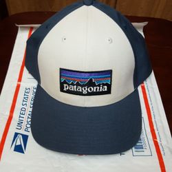 Patagonia Snapback Hat