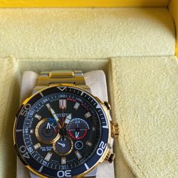 Citizen Brycen Eco Drive.