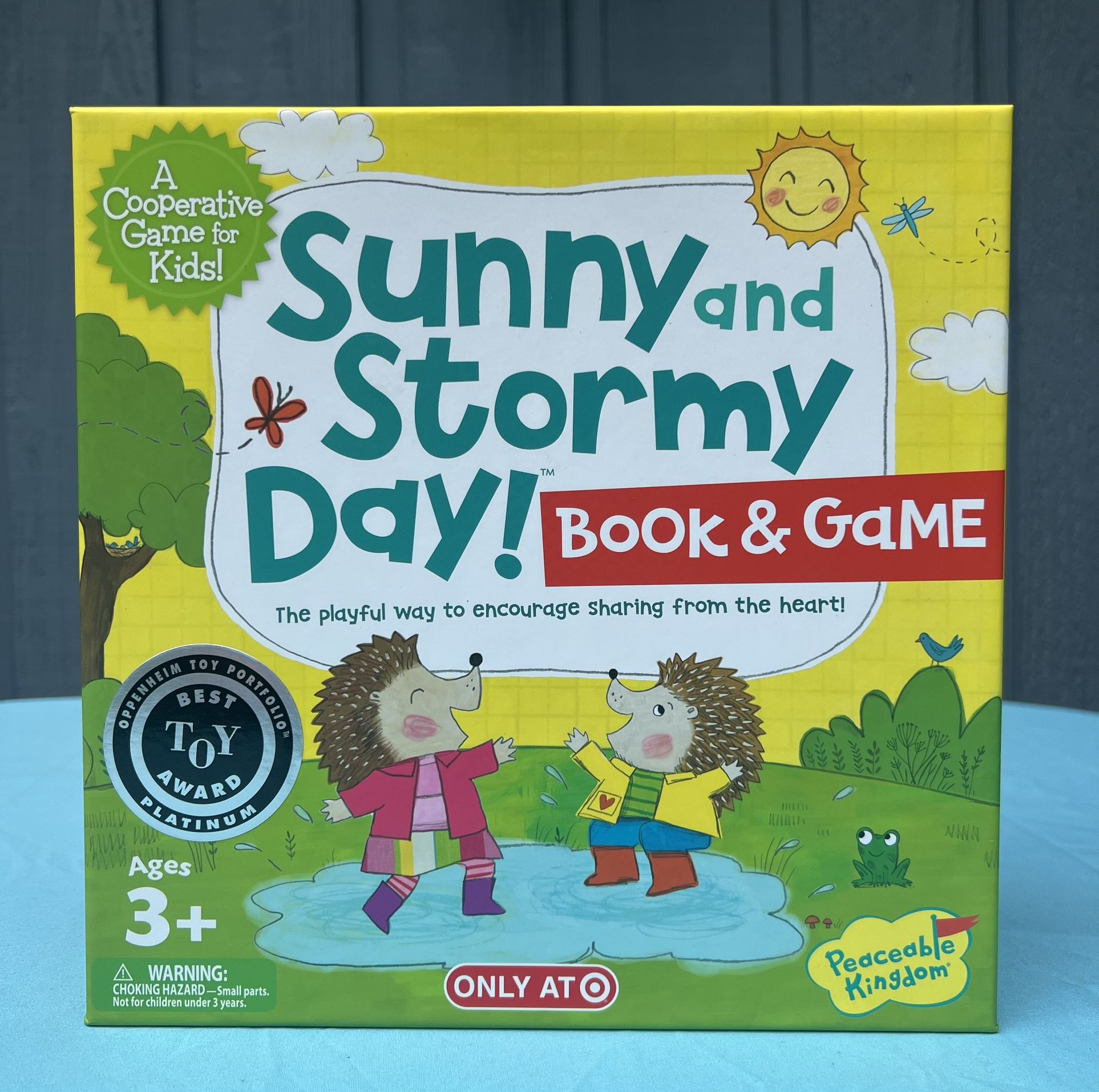 Sunny and Stormy Day Book & Game Toy For Kids
