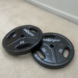 25 Pound Plates