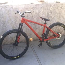 Custom built GIANT 26 inch dirt jumper. 