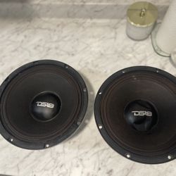 Ds18 Speakers