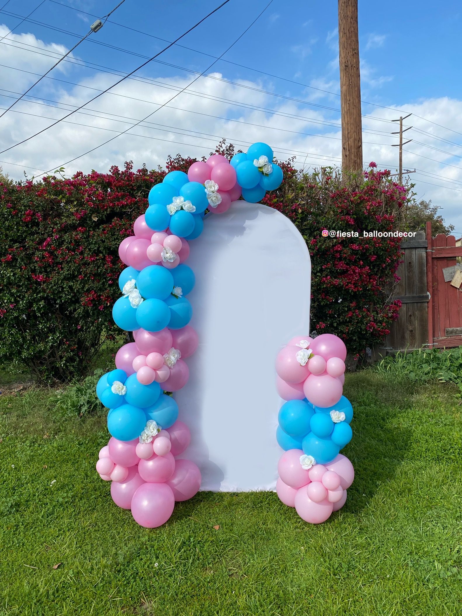 Balloon Garland