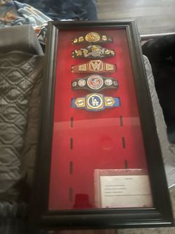 WWE mini belts with display case (rare case)