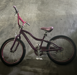 Schwinn Deelite 20" Girls Bicycle 20-inch wheels bicycle