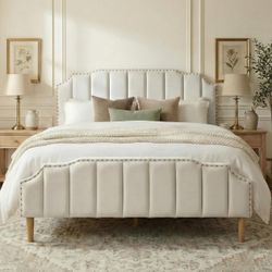 QUEEN Velvet Cream bed 