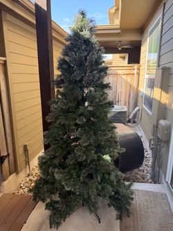 Christmas Tree