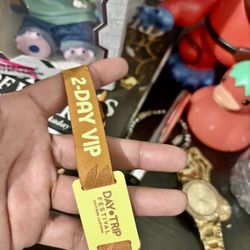 Day Trip VIP saturday & sunday