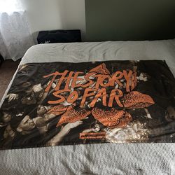 The Story so far wall flag