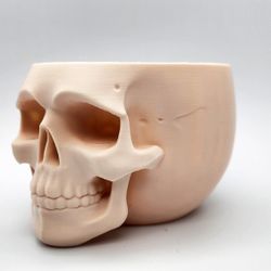 Skull Wide Bowl