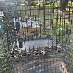 Small Dog Crate