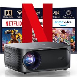 Netflix Projector